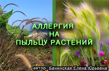 Алергія на пилок лучних трав