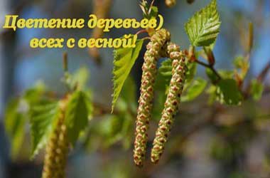 Цвітіння, алергія на пилок, перехресна алергія.