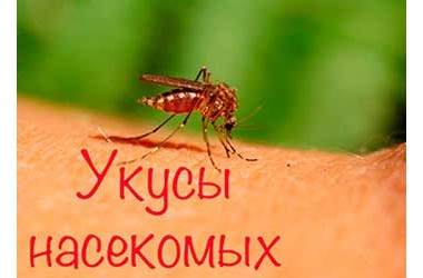 Укуси комах. Наскільки небезпечно при алергії?